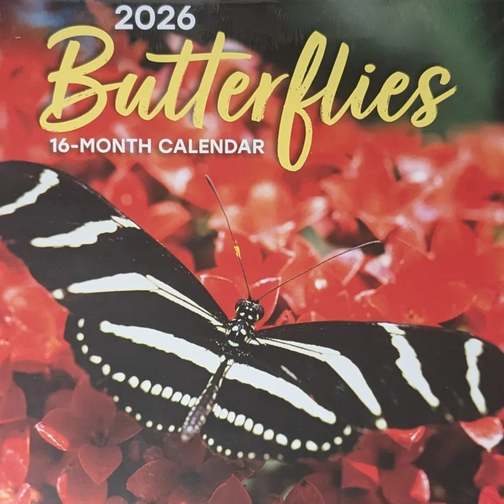 2026 Calendar BUTTERFLIES 16 Month Hanging Wall 11